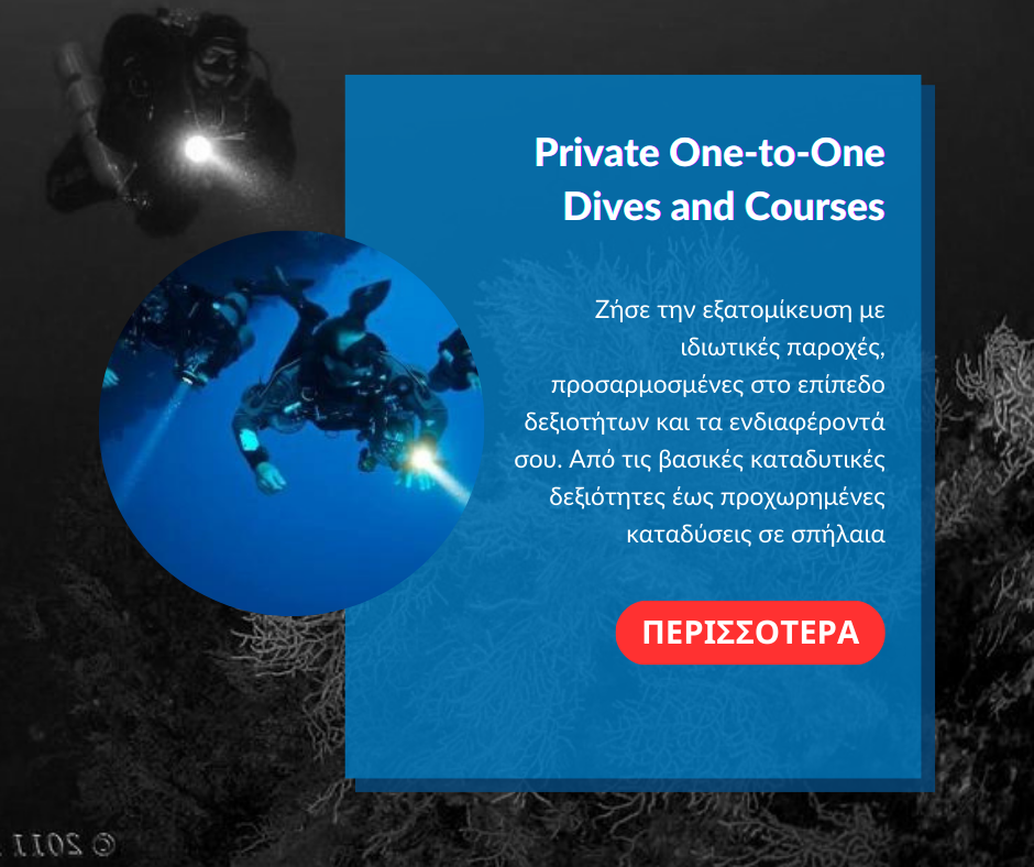 private-one-to-one-dives-and-courses-sea-breaze-spyros-kollas