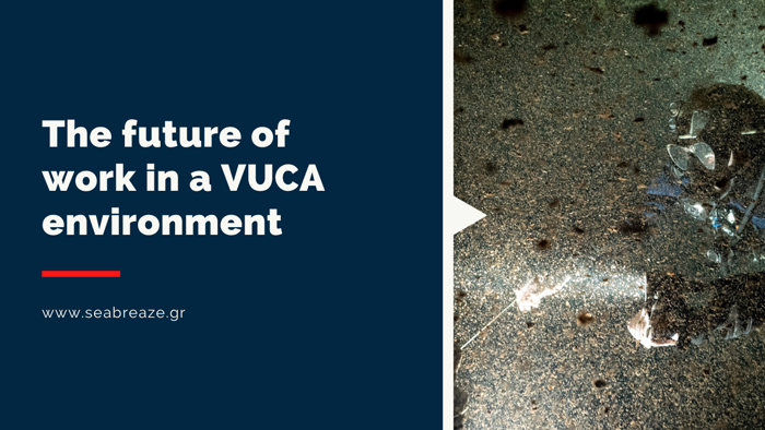 You are currently viewing The future of work in a VUCA environment