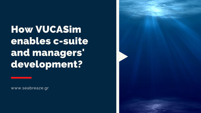 You are currently viewing How VUCASim Dive enables c-suite and managers development?
