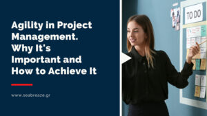 Read more about the article Agility in Project Management. Why It’s Important and How to Achieve It