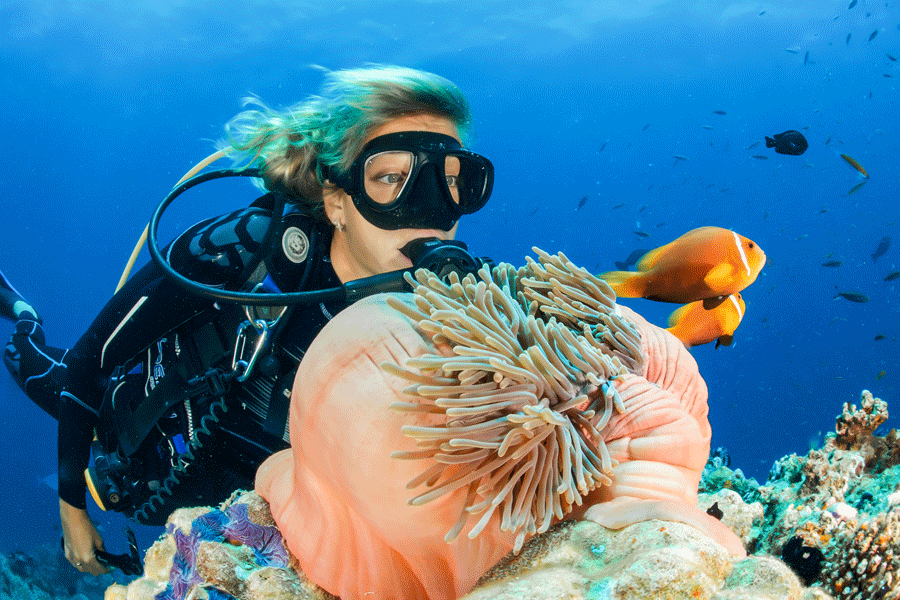 sea-breaze-scubadiving-σεμιναρια-webinars-δωρεάν-online-I