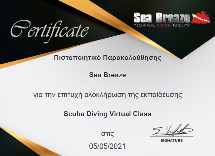 sea-breaze-virtual-class-certificate