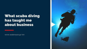 Read more about the article What scuba diving has taught me about business