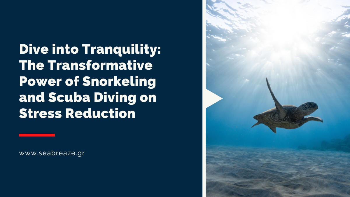 You are currently viewing Dive into Tranquility: The Transformative Power of Snorkeling and Scuba Diving on Stress Reduction