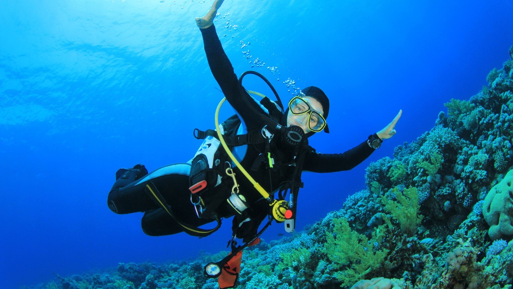 4.midweek-dives-for-certified-scuba-divers-personal-scuba-training-sea-breaze-spyros-kollas