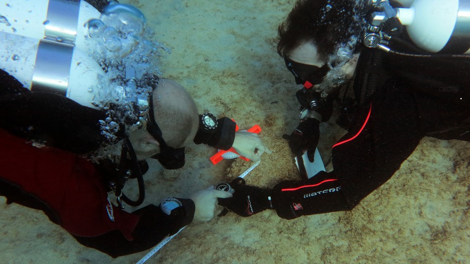 why-zero-gravity-soft-skills-simulation-club