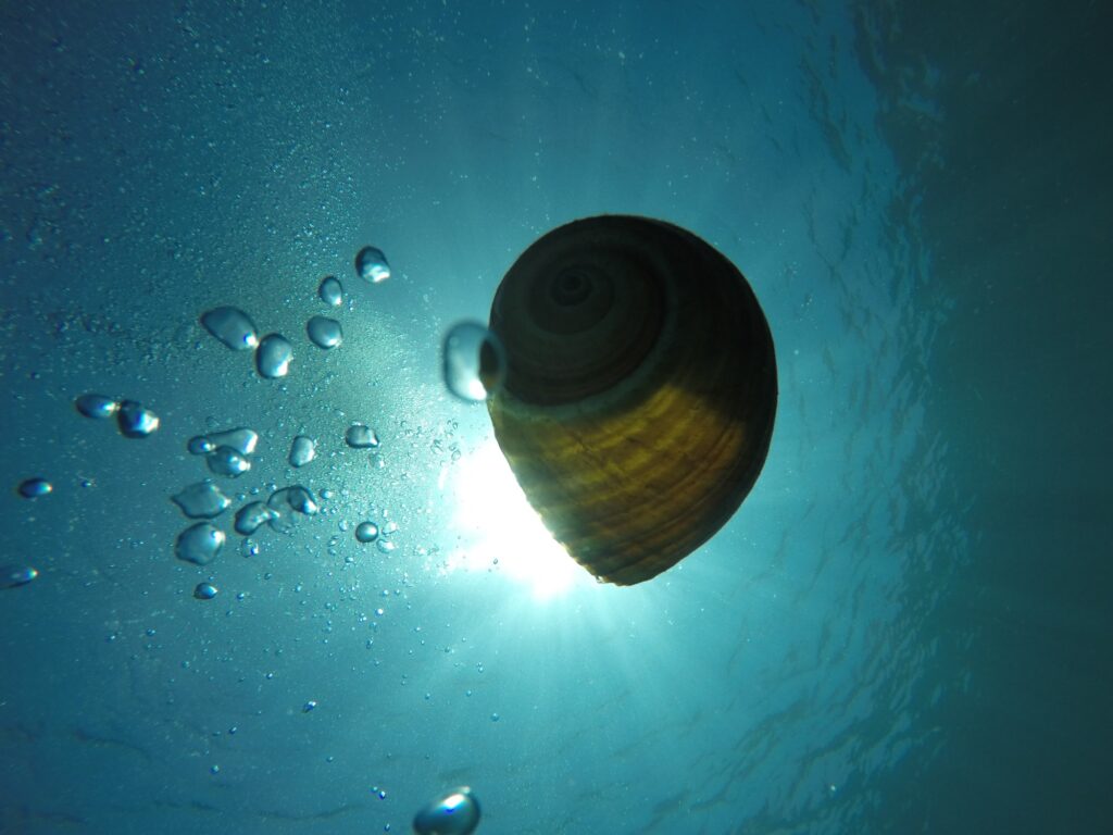 zero-gravity-soft-skills-training-sea-breaze-spyros-kollas